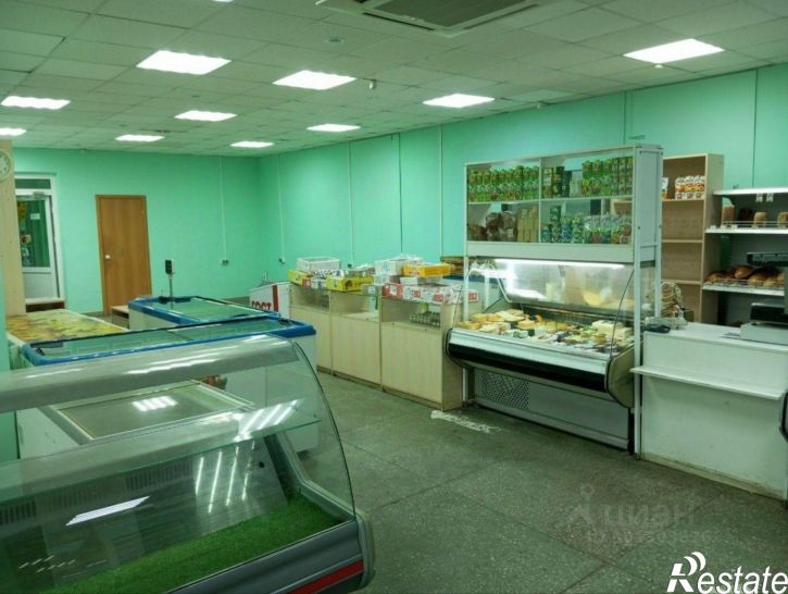 Торговое помещение улица Холмогорова, 24А,  д. 24А