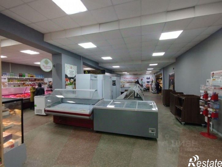 Отдельное здание улица Репина, 21Б,  д. 21Б