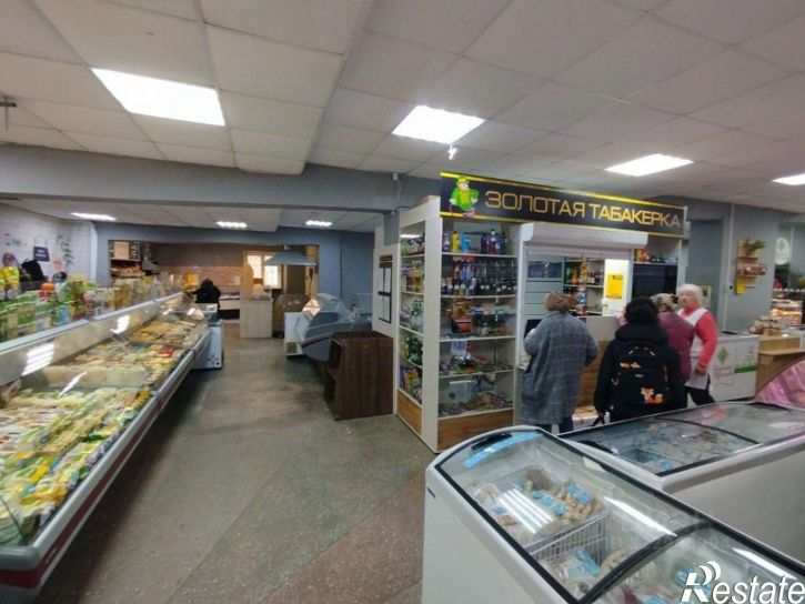 Отдельное здание улица Репина, 21Б,  д. 21Б