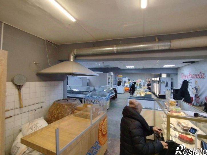 Отдельное здание улица Репина, 21Б,  д. 21Б