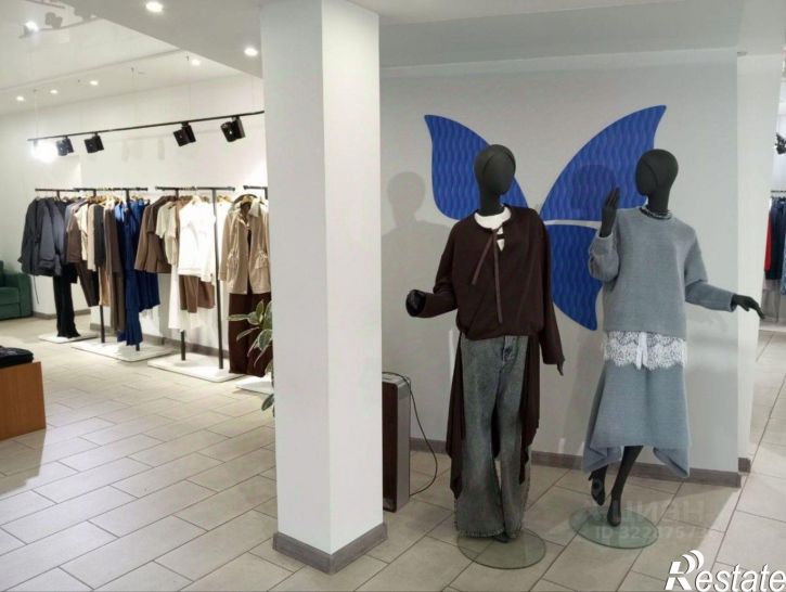 Торговое помещение Пушкинская улица, 224,  д. 224