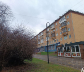 1-комн, 30кв м, этаж 4/6 Пушкинская улица, 249