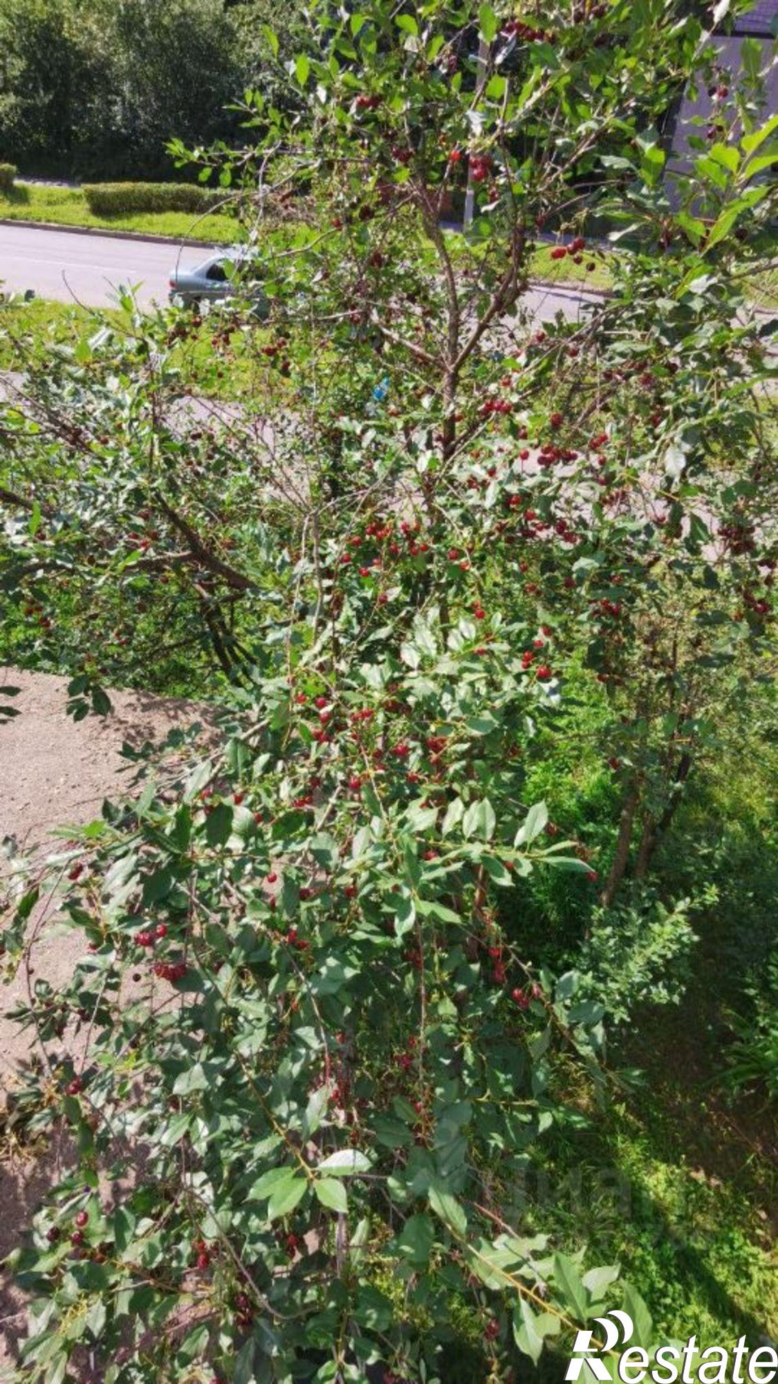 Сдать квартиру за 27 000 рублей на улица Холмогорова, 27