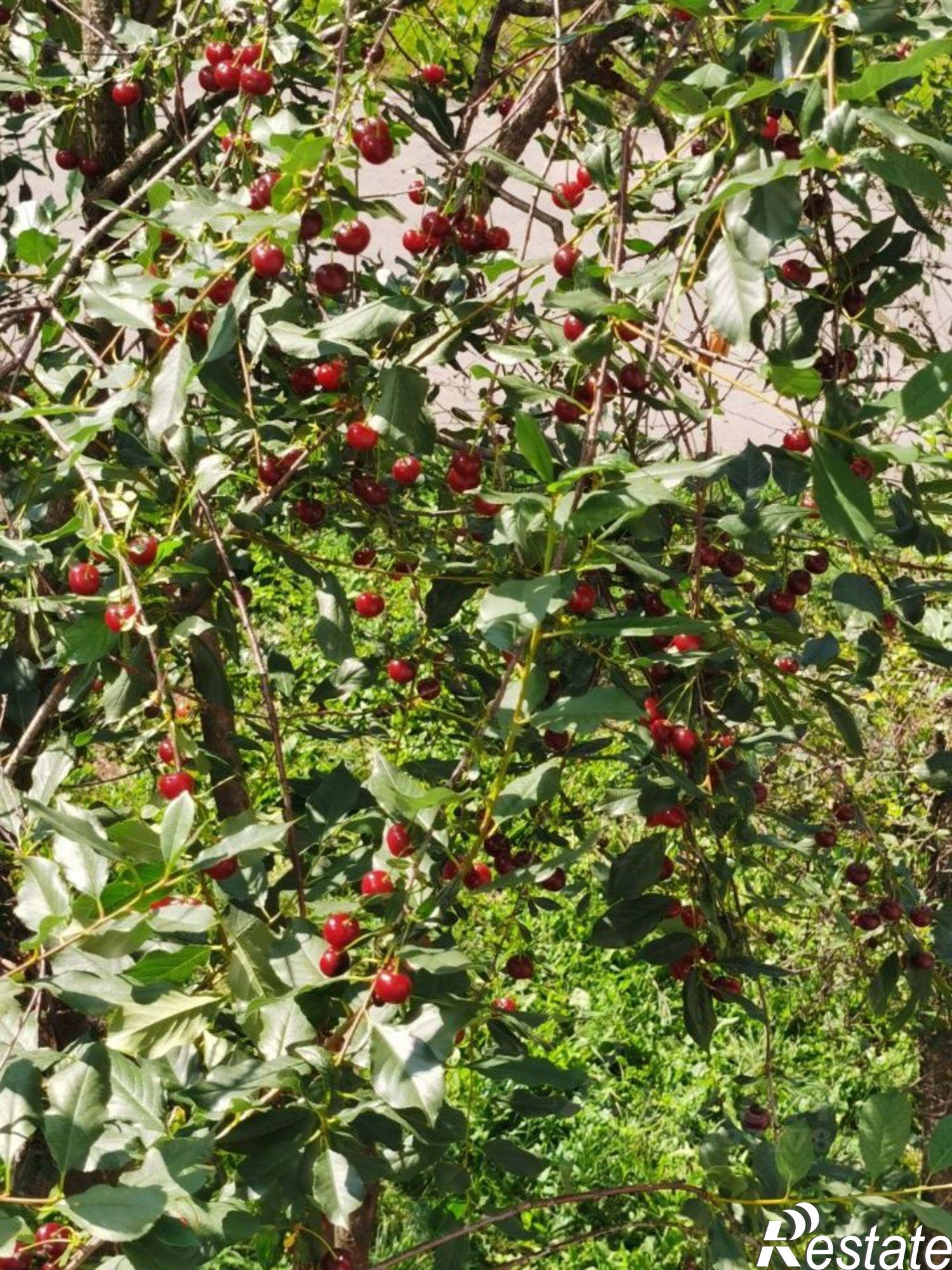 Сдать квартиру за 27 000 рублей на улица Холмогорова, 27