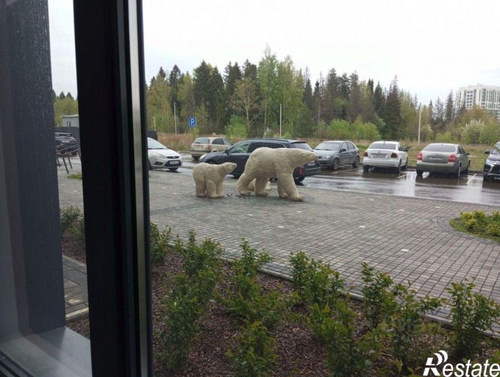 Торговое помещение улица им. В. С. Тарасова, 7,  д. 7