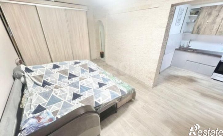 1-комн квартира улица Леваневского, 100,  д. 100