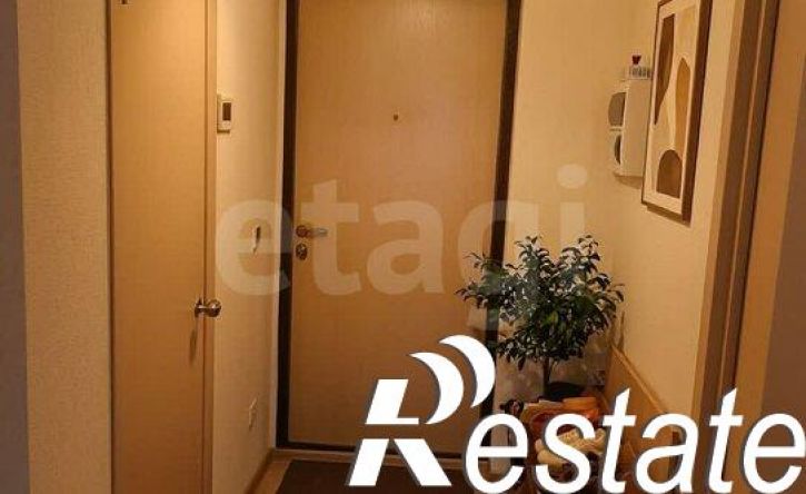 1-комн квартира улица Петрова, 51А,  д. 51А