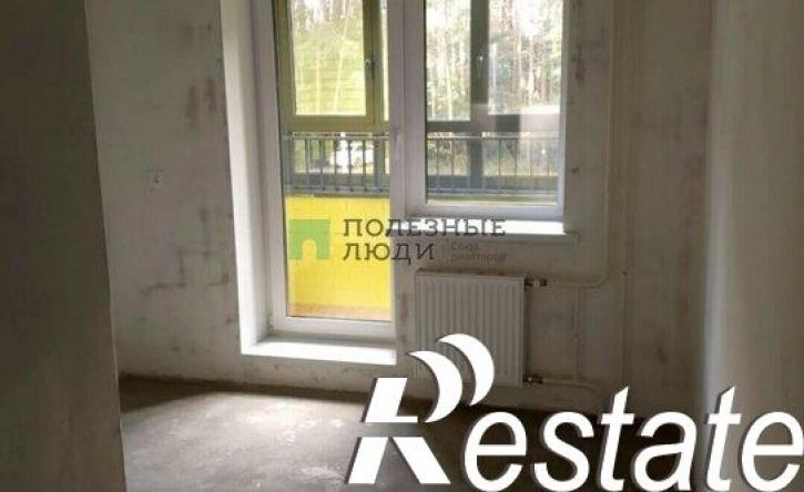 1-комн квартира улица Васнецова, 38,  д. 38